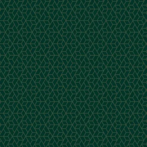 Упаковочная бумага &quot;Dark green&quot;, глянец, 70x100 см, 90 г/м2