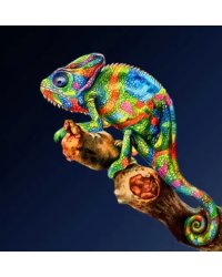 Алмазная мозаика. Красочный хамелеон, 30x30 см