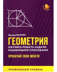 Геометрия. Научись решать задачи различными способами. Прокачай свои мозги. Профильный уровень