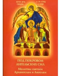 Под покровом ангельских Сил. Молитвы святым Архангелам и Ангелам