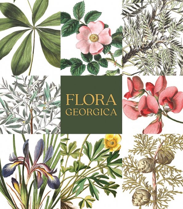 Flora Georgica.Гербарий на фарфоре