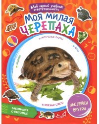 Моя милая черепаха