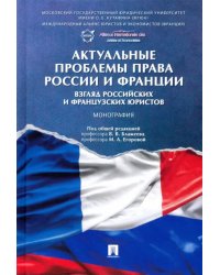 Актуальные проблемы права России и Франции. Взгляд российских и французских юристов. Монография