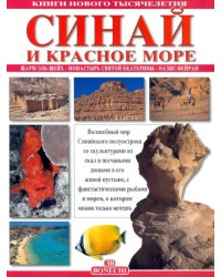 Синай и Красное море. Шарм-Эль-Шейх. Монастырь святой Екатерины. Оазис Фейран