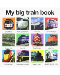 My Big Train Book