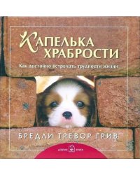 Капелька храбрости. Как достойно встречать трудности жизни