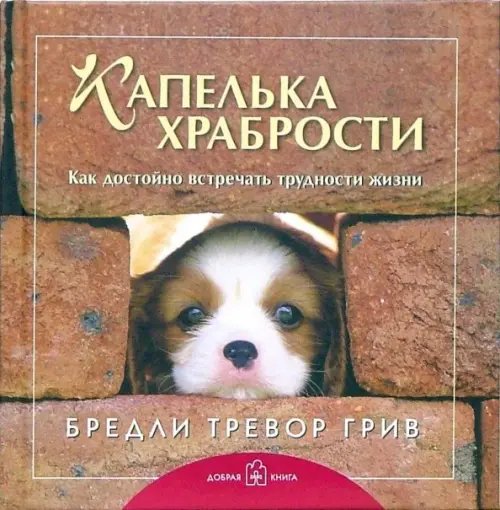 Капелька храбрости. Как достойно встречать трудности жизни