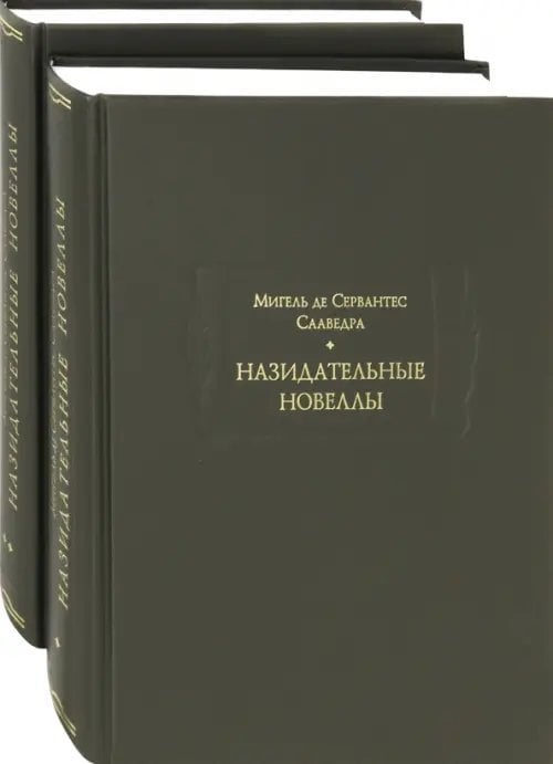 Назидательные новеллы. В 2-х книгах