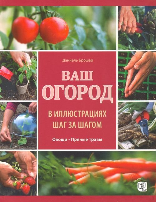 Ваш огород в иллюстрациях шаг за шагом. Овощи. Пряные травы