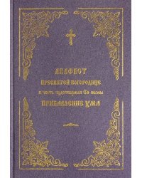 Акафист Пресвятой Богородице в честь и память чудотворной иконы &quot;Прибавление ума&quot;