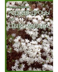 Рододендроны для Северо-Запада