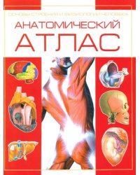 Анатомический атлас. Основы строения и физиологии человека