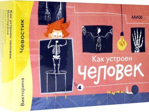 Викторина с Чевостиком. Как устроен человек