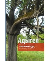 Неопознанная педагогика. Адыгея. Черкесские сады, или Плач под лезгинку