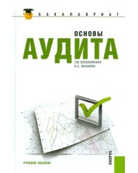 Основы аудита. Учебное пособие