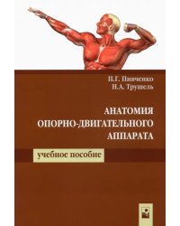 Анатомия опорно-двигательного аппарата