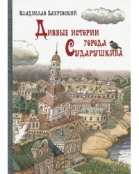 Дивные истории города Сударушкина
