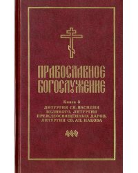 Православное богослужение. Книга 3. Литургия св. Василия Великого, Литургия преждеосвящённых даров