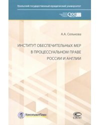 Институт обеспечительных мер в процессуальном праве России и Англии