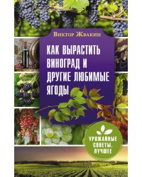 Как вырастить виноград и другие любимые ягоды. Простые и понятные инструкции для начинающих