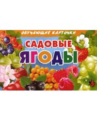 Комплект карточек. Садовые ягоды 