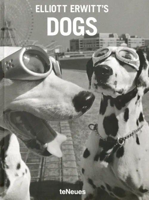 Elliott Erwitt's Dogs