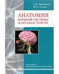 Анатомия нервной системы и органов чувств