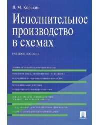 Исполнительное производство в схемах. Учебное пособие