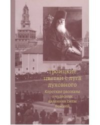 Троицкие цветки с луга духовного. Короткие рассказы о чудесных явлениях силы Божией