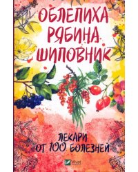 Облепиха, рябина, шиповник - лекари от 100 болезней