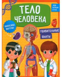 Тело человека. Мой первый атлас с наклейками. 6+