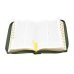 Библия (темно-зеленая кожаная на молнии, золотой обрез)