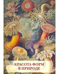 Набор открыток. Красота форм в природе