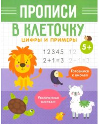 Прописи в клеточку. Цифры и примеры