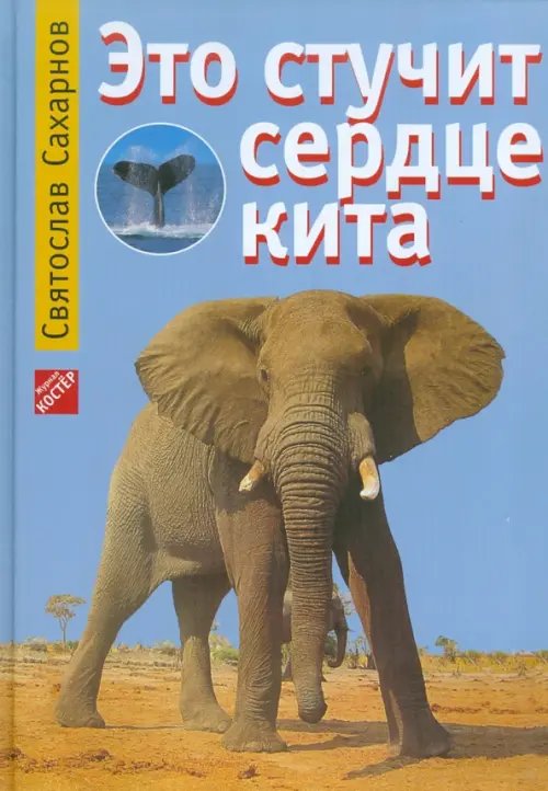 Это стучит сердце кита