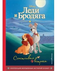 Леди и Бродяга. Счастливая встреча. Книга для чтения с цветными картинками