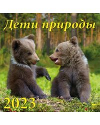 Календарь на 2023 год. Дети природы