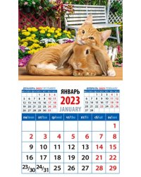 Календарь на 2023 год. Год кота и кролика. Настоящие друзья