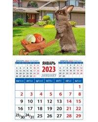 Календарь на 2023 год. Год кролика. Хороший урожай