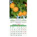 Календарь на 2023 год. Лунный календарь садовода и огородника