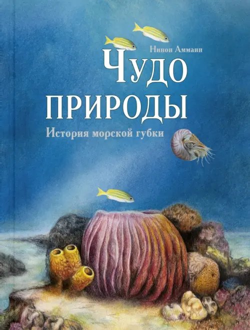 Чудо природы. История морской губки