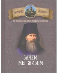 Зачем мы живем. По творениям святителя Феофана Затворника