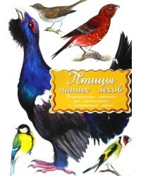 Дидактические карточки Птицы наших лесов