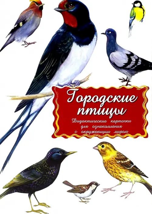 Дидактические карточки Городские птицы