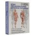 Атлас функциональной анатомии человека. Учебное пособие