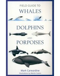 Field Guide to Whales, Dolphins and Porpoises