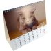 Календарь-домик на 2023 год. Кот