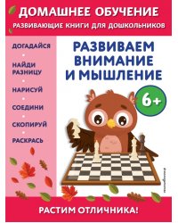 Развиваем внимание и мышление. Для детей от 6 лет