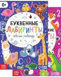 Математические и буквенные лабиринты. Набор из 2-х книг