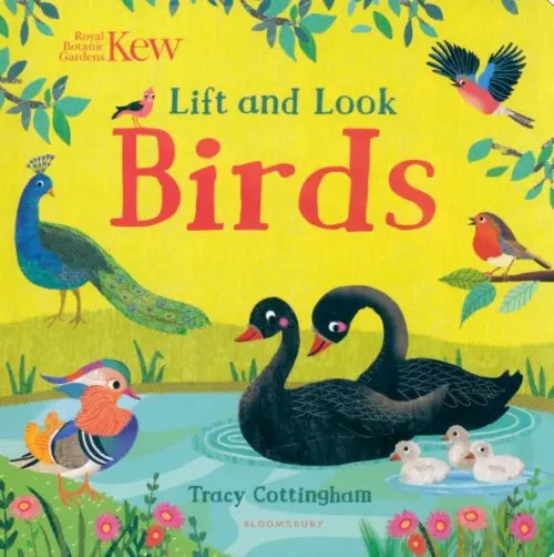 Kew. Lift and Look Birds